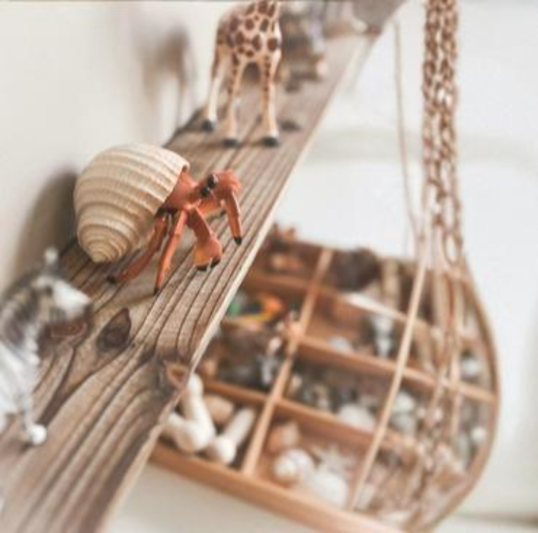 Educación emocional