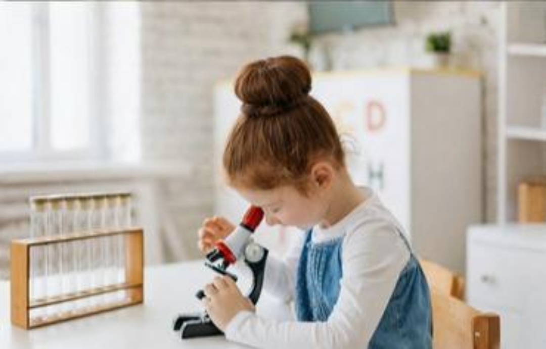 Taller Montessori Nova - 6 a 12 años